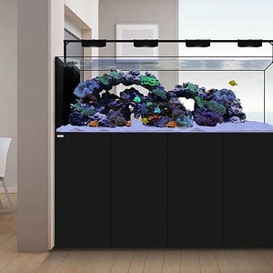 Waterbox Peninsula