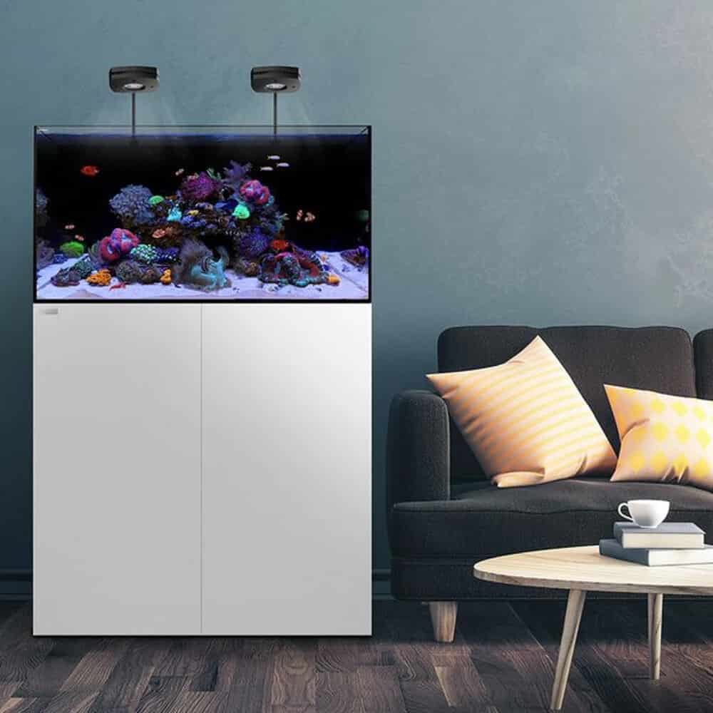 Waterbox AIO Series - Image 3