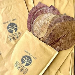Golden Tree Premium Indian Almond Leaves 50g