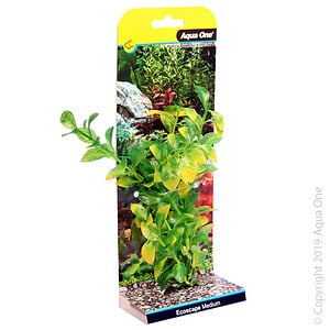 Ecoscape Medium Hygro Green