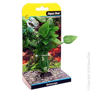 Bettascape Betta Lily Green