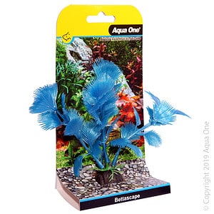 Bettascape Betta Fan Palm Blue