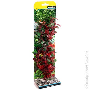 Ecoscape Large Hygro Red