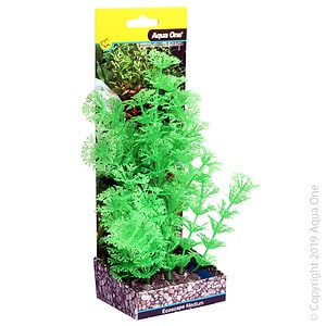 Ecoscape Medium Ambulia Green