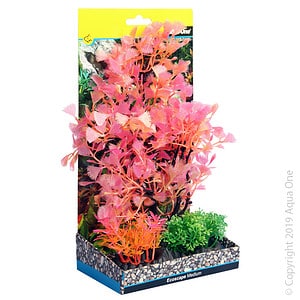 Ecoscape Medium Fan Palm Red