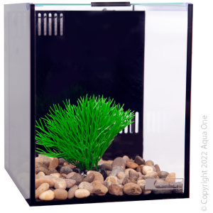 Betta Condo Mono 20x24x24cm