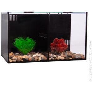 Betta Condo Duo 40x24x24cm