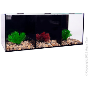 Betta Condo Trio 60x24x24cm