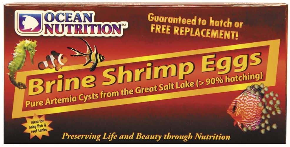 Brine Shrimp Eggs Box 50g