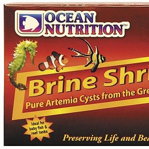 Brine Shrimp Eggs Box 50g