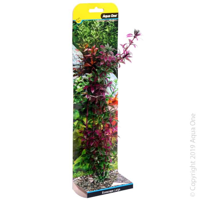 Ecoscape Large Rotala Red