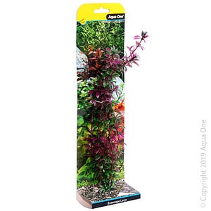 Ecoscape Large Rotala Red