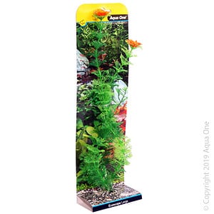 Ecoscape Large Ambulia Green