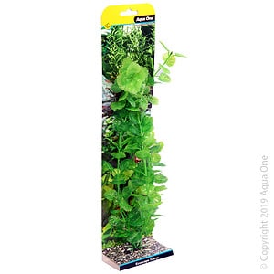 Ecoscape Xlarge Cardamine Green