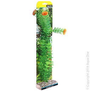 Ecoscape Xlarge Ambulia Green