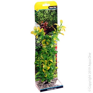 Ecoscape Large Hygro Green