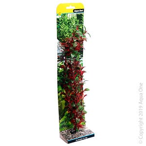 Ecoscape Xlarge Hygro Red
