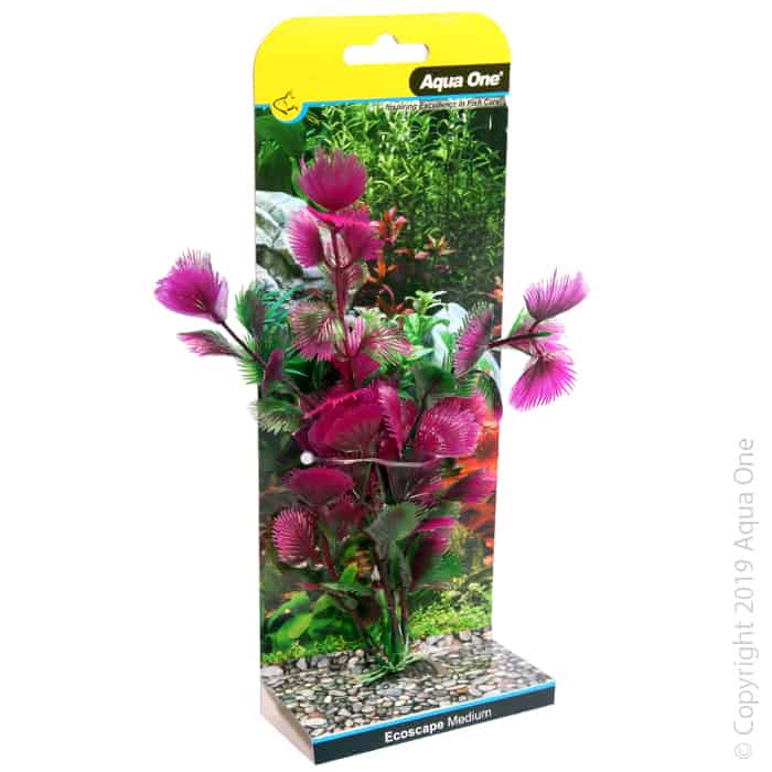 Ecoscape Medium Fan Palm Pink