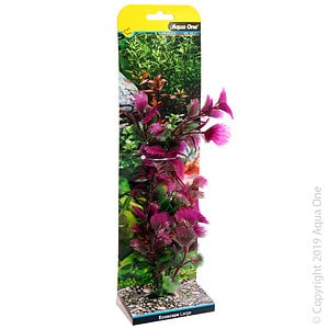 Ecoscape Large Fan Palm Pink