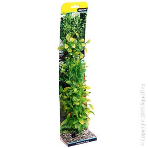 Ecoscape Xlarge Hygro Green