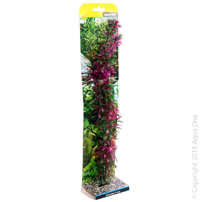 Ecoscape Xlarge Rotala Red