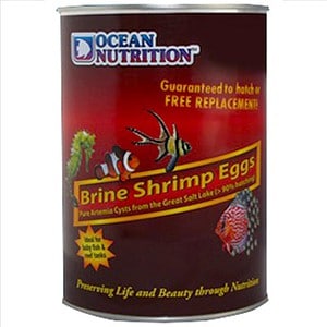 Brine Shrimp Eggs Can 454g