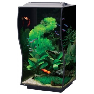 Bioscape Curve Nano Aquarium – Black 50 x 36 x 36cm