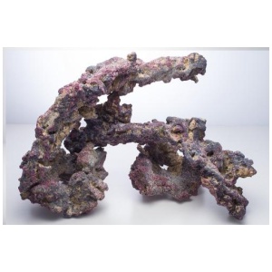 Life Rock Shapes 20lb / 9kg