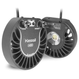 Kessil A80 Tuna Blue