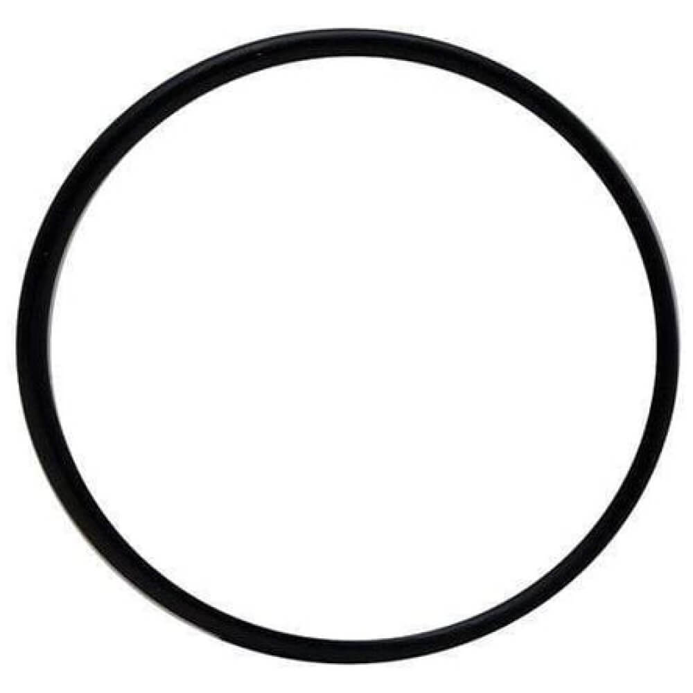 Laguna Pressure-Flo Pressurized Filter UV-C Head O-Ring PT1530