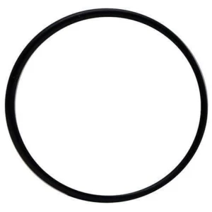 Laguna Pressure-Flo Pressurized Filter UV-C Head O-Ring PT1530