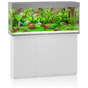 Juwel Rio 240 LED Aquarium Grey