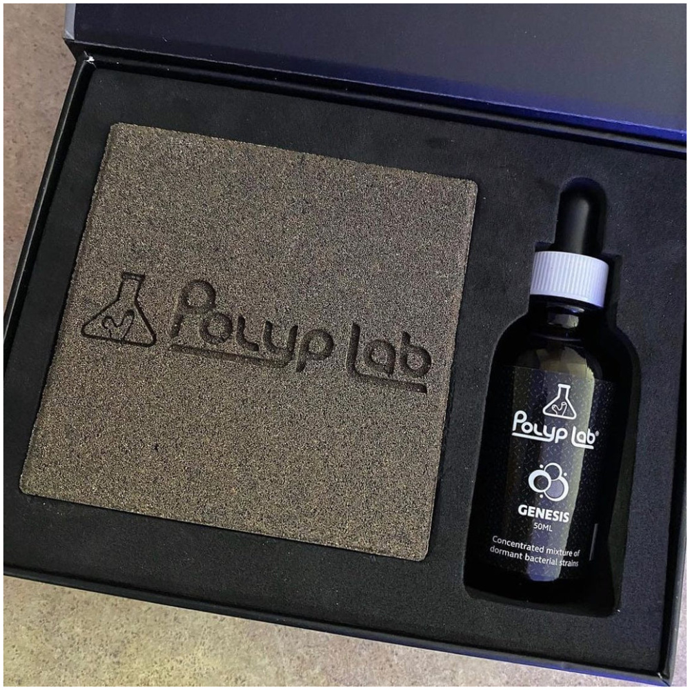 Polyplab Genesis Rock Booster Kit