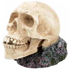 Bioscape Bubbler – Large Human Skull