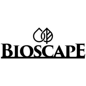Bioscape Glass Cover for Cloud Terrarium Tall Small 20 x 20 cm