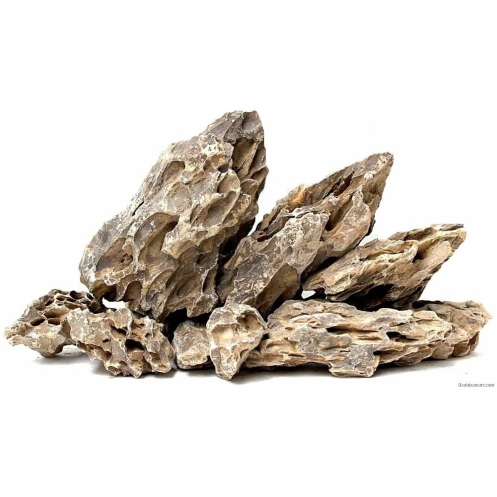 Bioscape Dragon Rock Pack 5kg