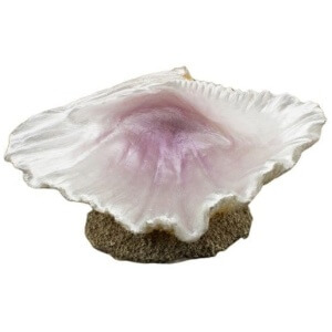 Bioscape Half Clam Shell (L) 15.5 cm