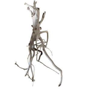 Bioscape Phantom Driftwood 20-30cm