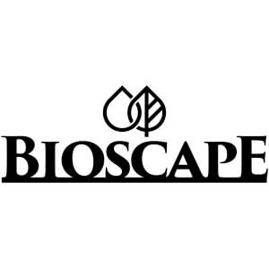 Bioscape Dragon Driftwood X- Large 50-65cm