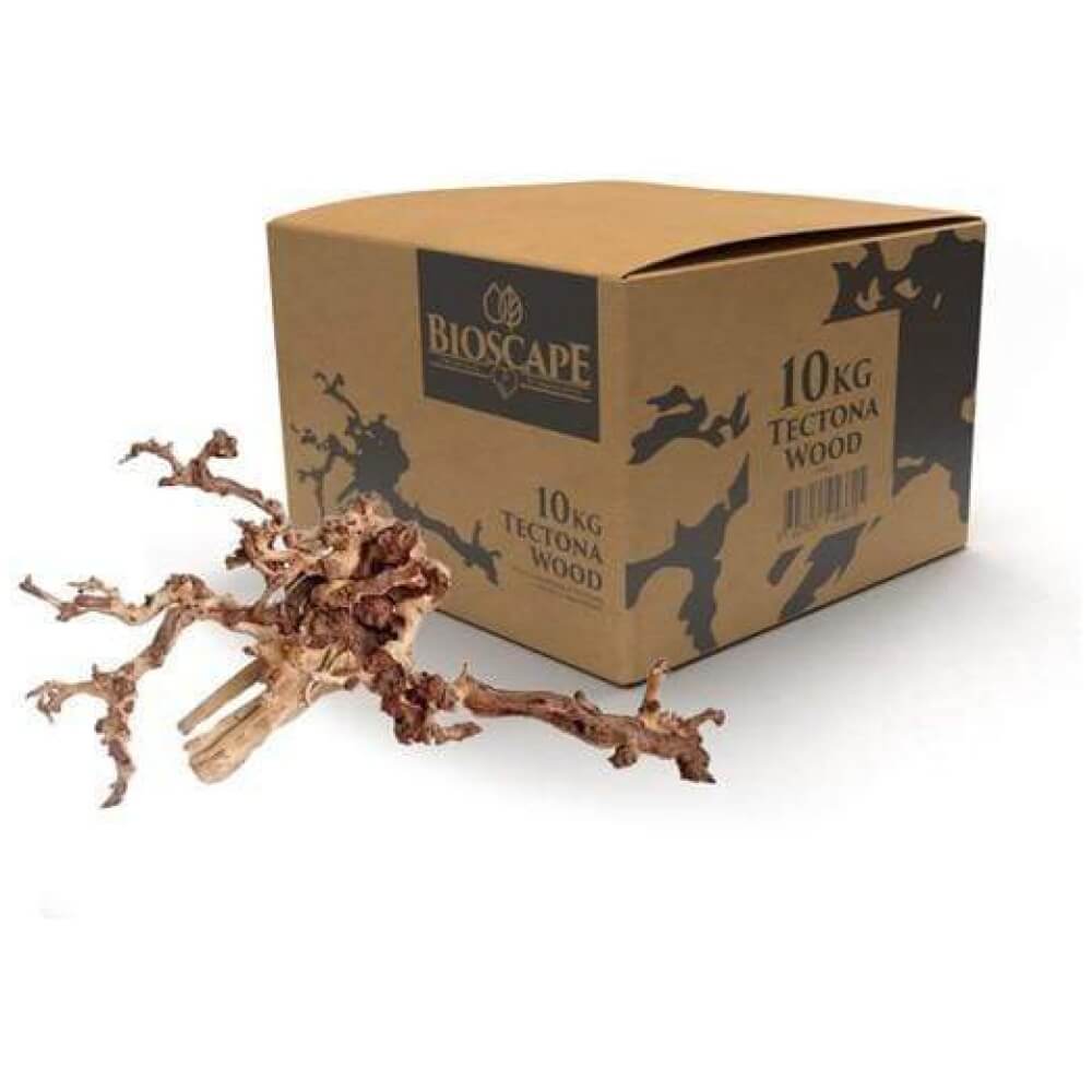 Bioscape Tectona Coral Driftwood Small 20-30cm