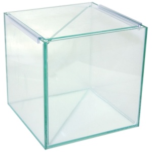 Betta Divided Glass Tank 20Wx20Dx20cmH