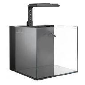Maxspect DICE Nano Cube