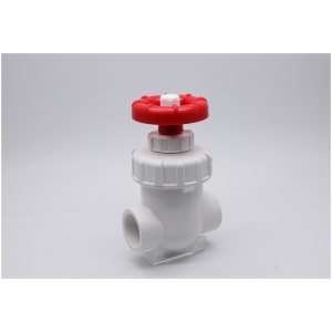 White DIN Gate Valve