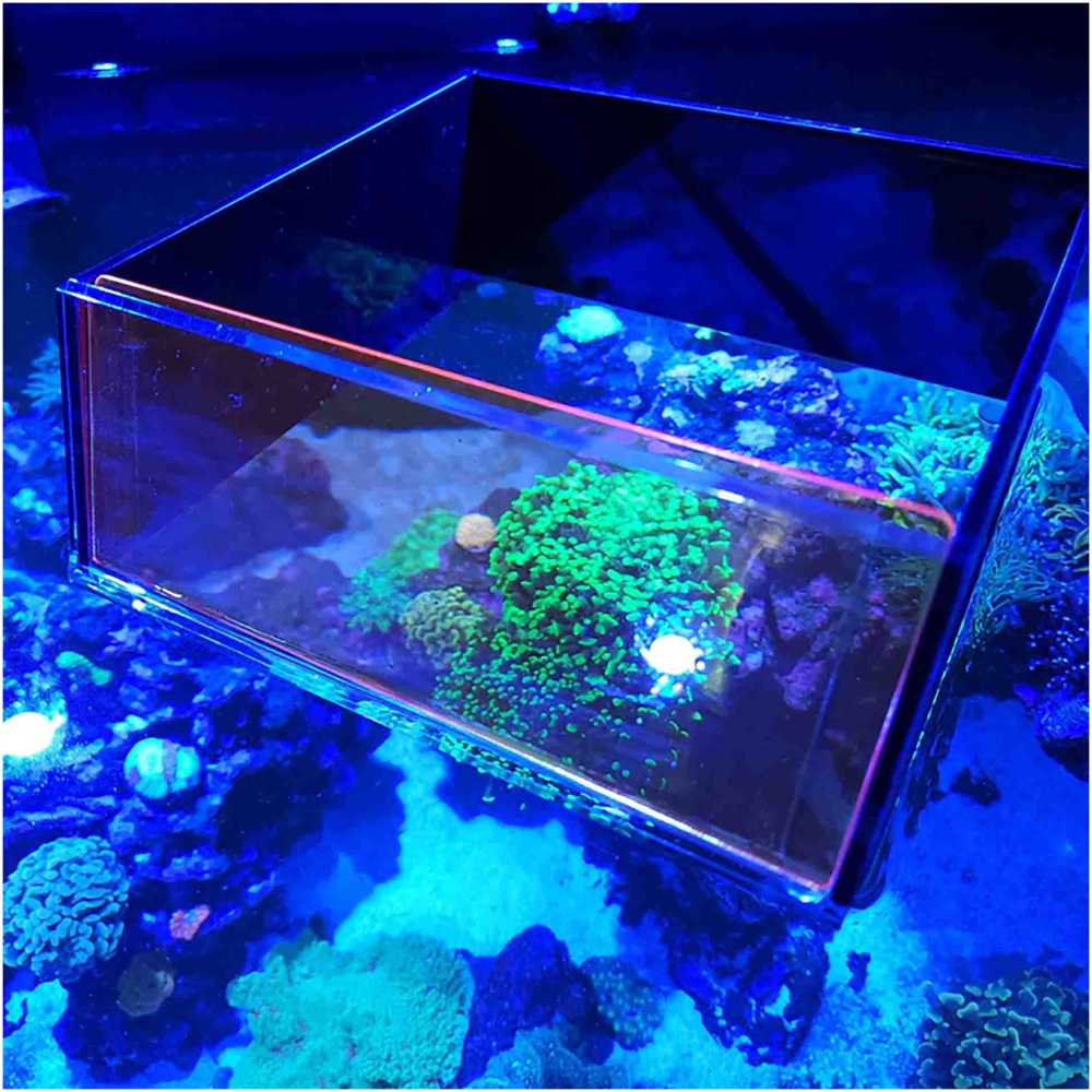 Flipper Top Down Viewer with Removable Orange Filter - 8" Ultra Clear Viewing Area - Image 4