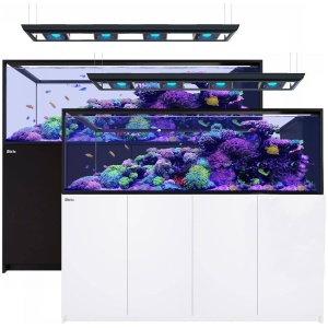 Red Sea Reefer Peninsula S-950 G2+/Deluxe/Max