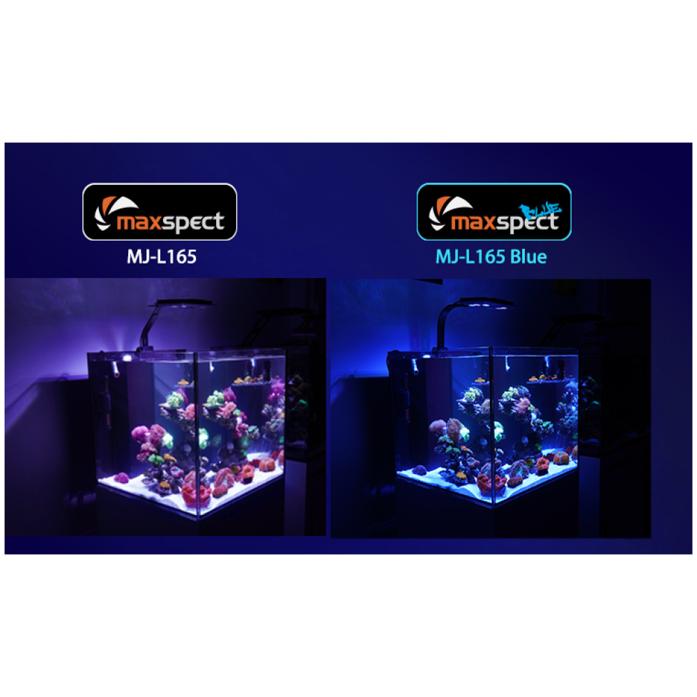 Maxspect Jump LED MJ-L165 "BLUE" - Image 2
