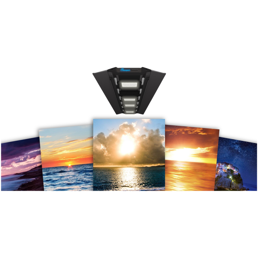 Maxspect RSX Razor Saltwater/Freshwater - Image 8