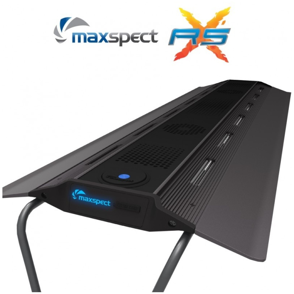 Maxspect RSX Razor Saltwater/Freshwater - Image 2