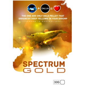 Spectrum Gold 30g