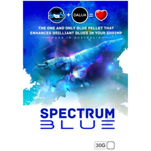 Spectrum Blue 30g